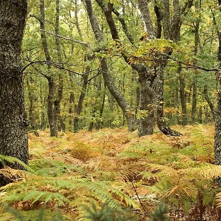 Pensionat Juvenil Espinosa De Monteros Espinosa de los Monteros