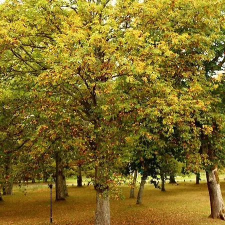 Juvenil Espinosa De Monteros