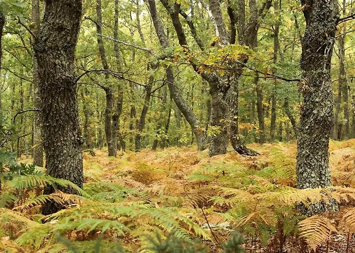 게스트하우스 Juvenil Espinosa De Monteros Espinosa de los Monteros