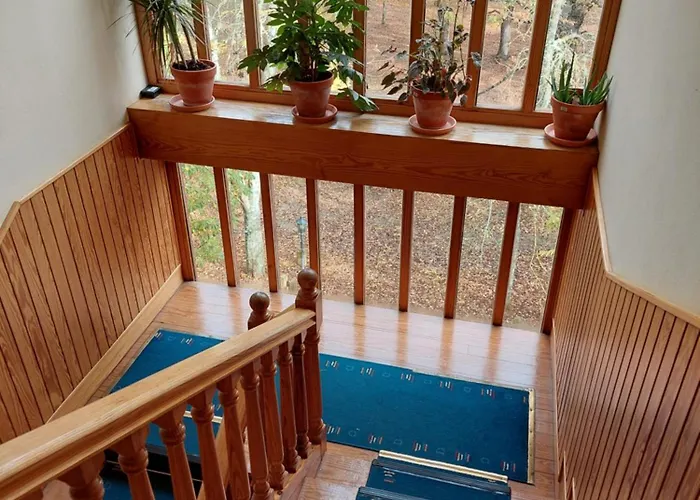 Juvenil Espinosa De Monteros * Espinosa de los Monteros